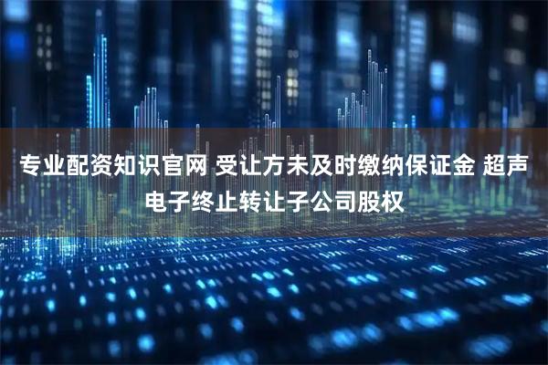 专业配资知识官网 受让方未及时缴纳保证金 超声电子终止转让子公司股权